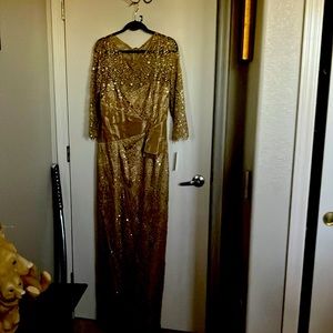 Teri Jon mother of bride gown. Brand new